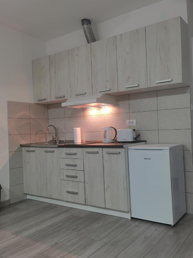 Studio Apartmani Banja Koviljaca Exterior photo