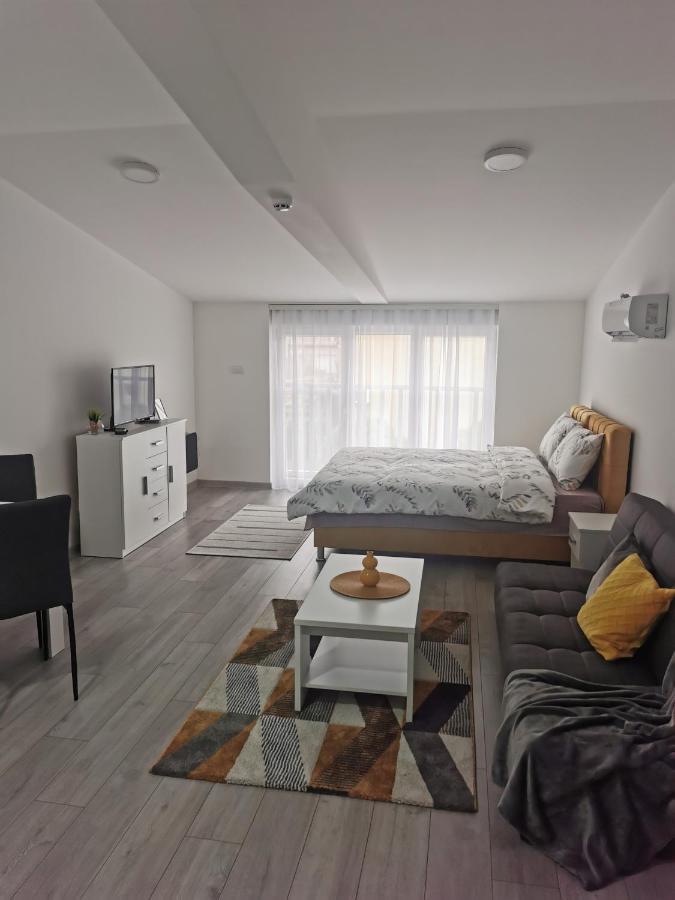 Studio Apartmani Banja Koviljaca Exterior photo
