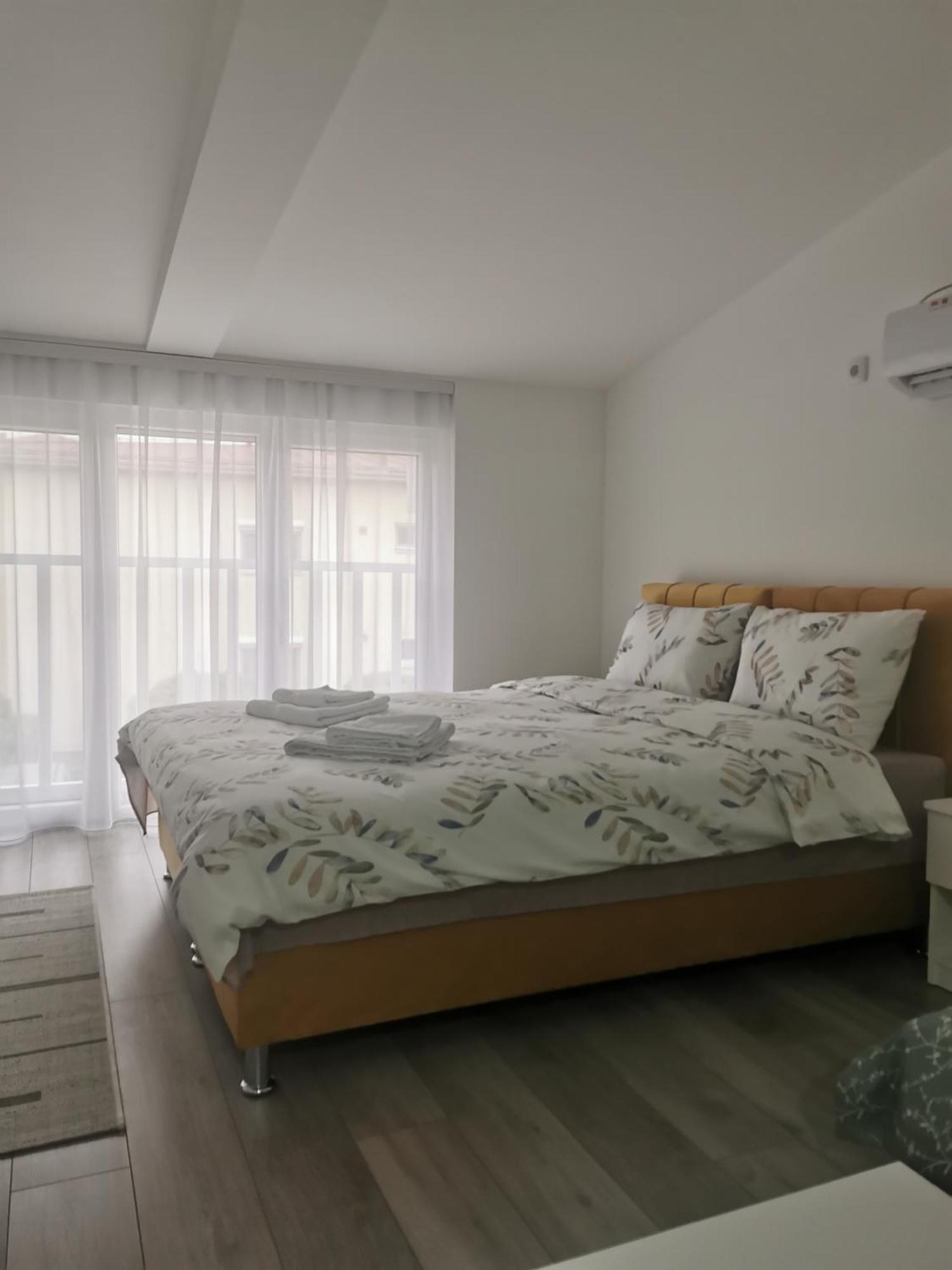 Studio Apartmani Banja Koviljaca Exterior photo