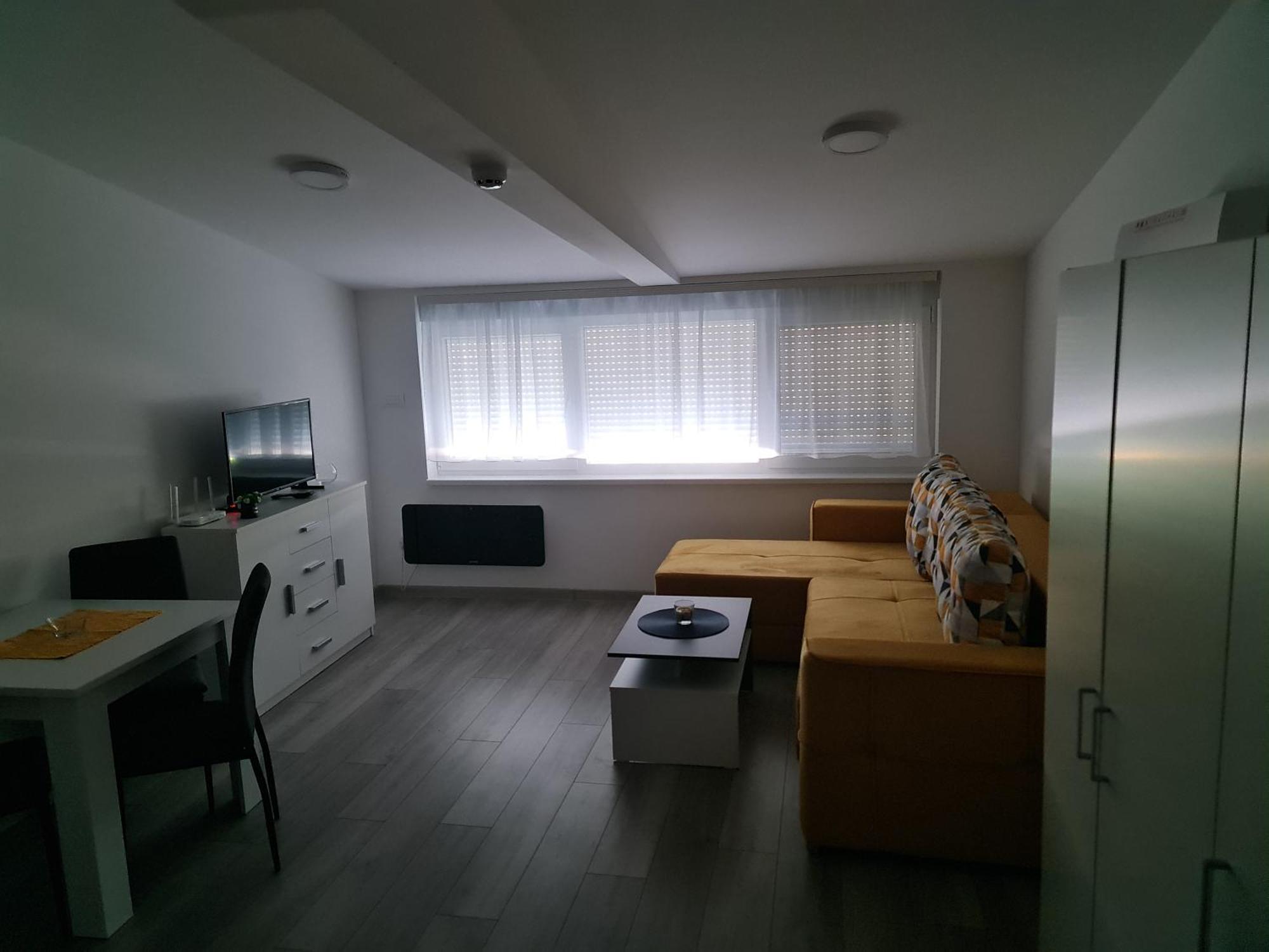 Studio Apartmani Banja Koviljaca Exterior photo