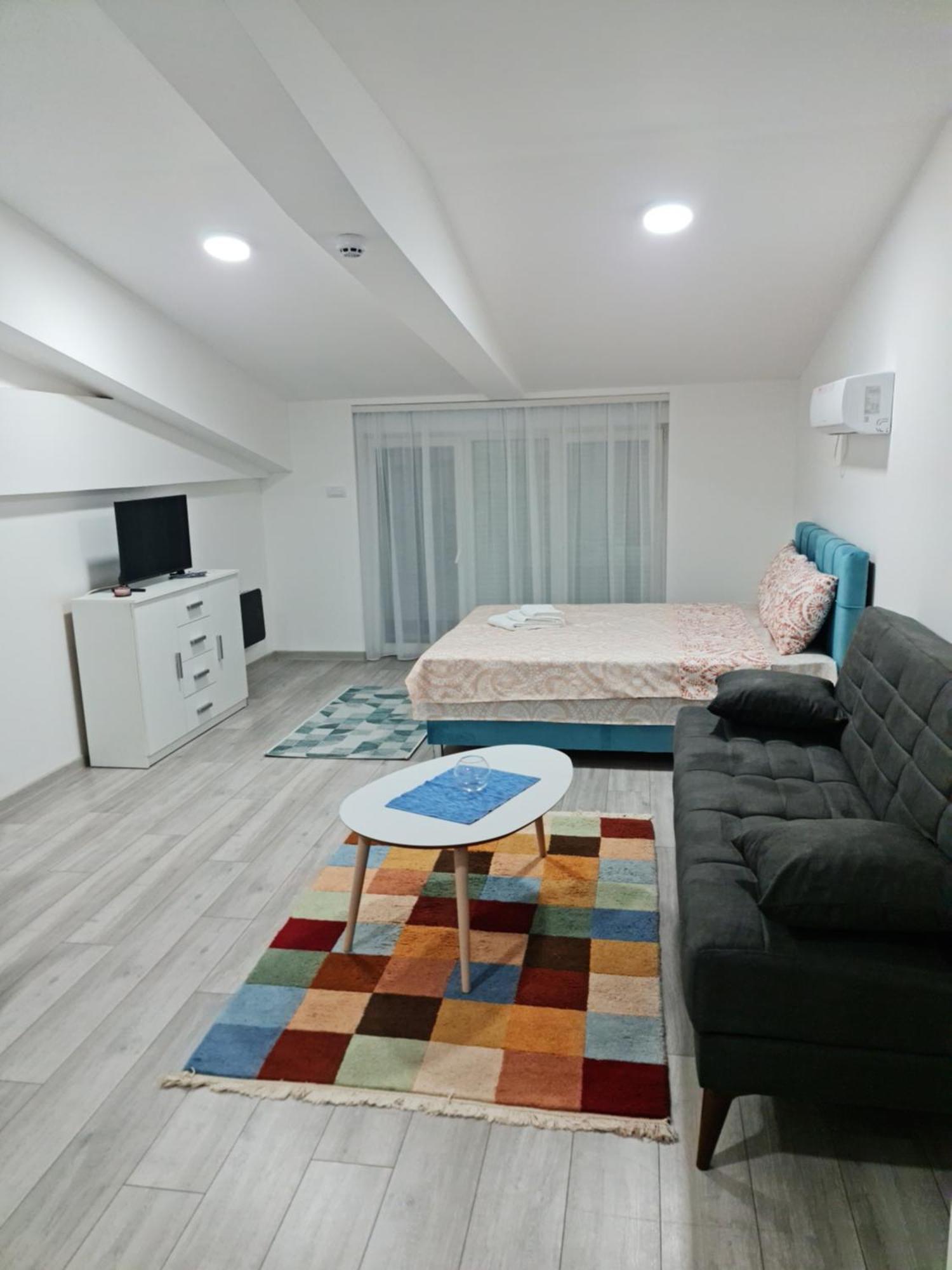 Studio Apartmani Banja Koviljaca Room photo