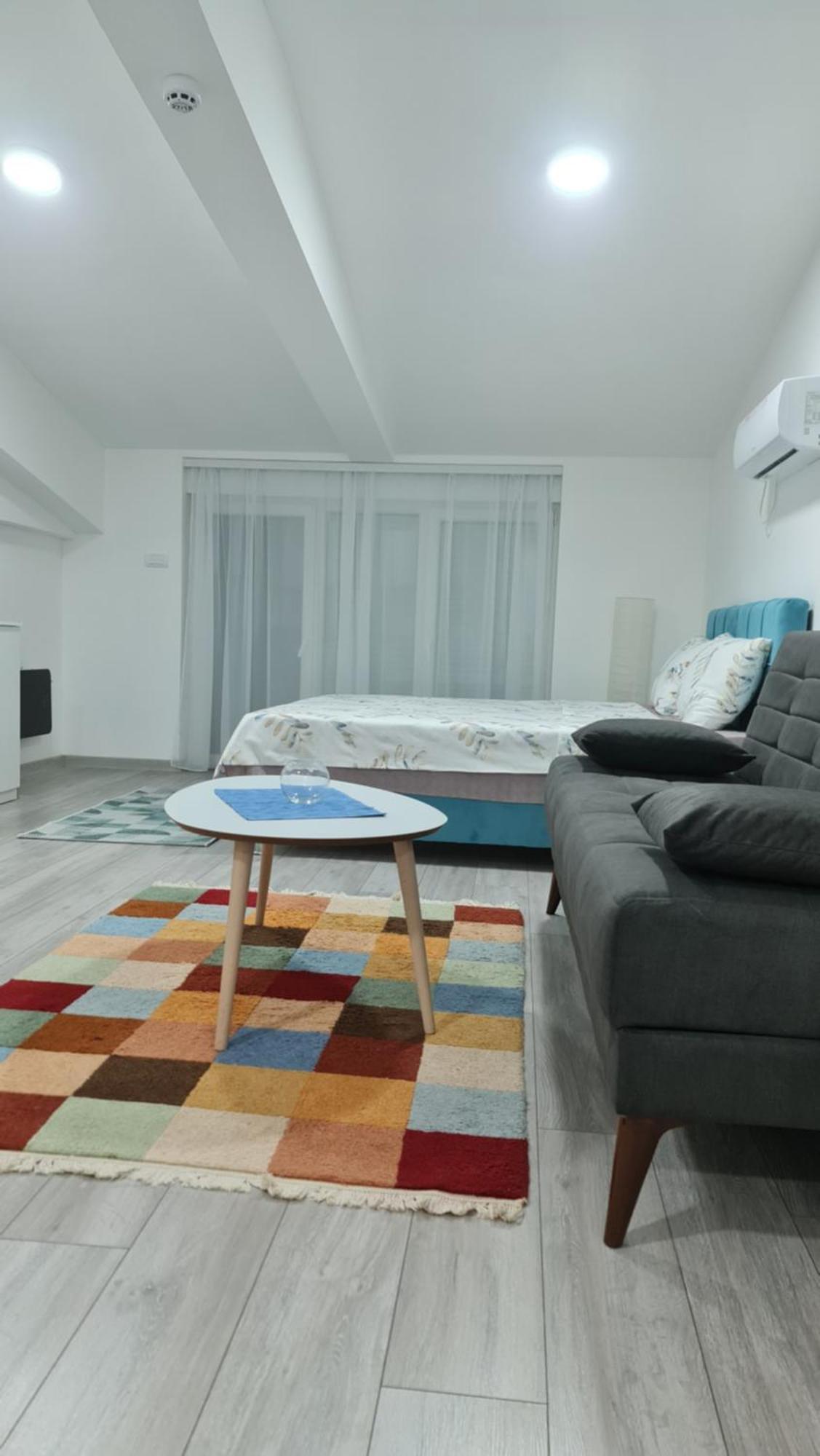 Studio Apartmani Banja Koviljaca Room photo