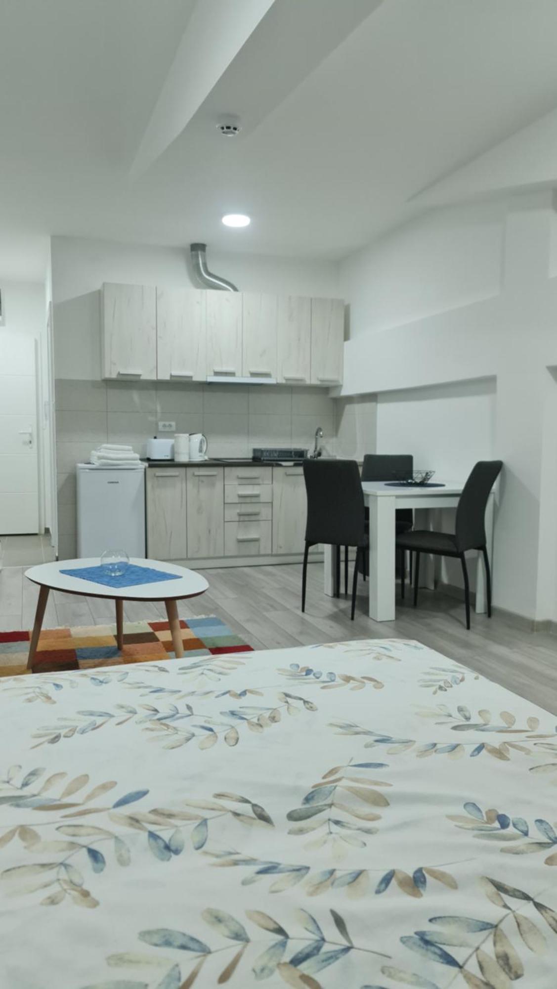Studio Apartmani Banja Koviljaca Room photo